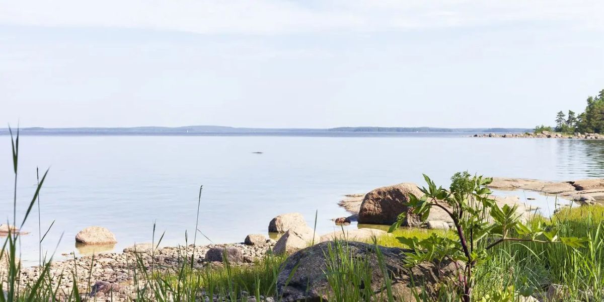 Kuvituskuva.